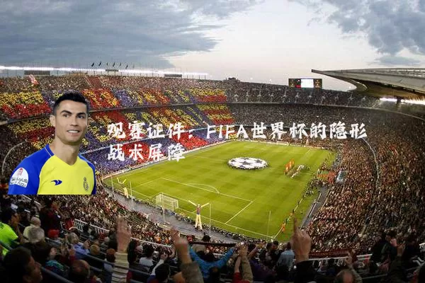 观赛证件：FIFA世界杯的隐形战术屏障